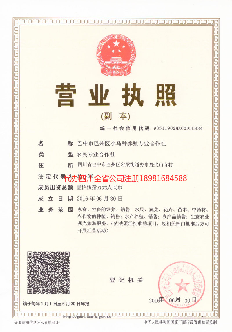 海伦海伦小马种养殖专业合作社